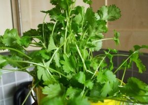 fresh parsley